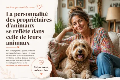 La personnalité des propriétaires d'animaux et leurs comportements avec les animaux