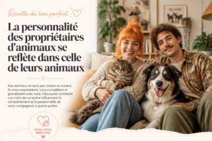 Personnalité des propriétaires d'animaux et leurs traits distinctifs.