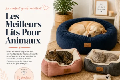 Lits pour animaux confortables et stylés pour le bien-être des animaux de compagnie.
