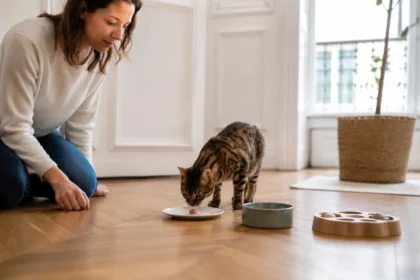 Friandises pour chien et chat choisies avec attention.