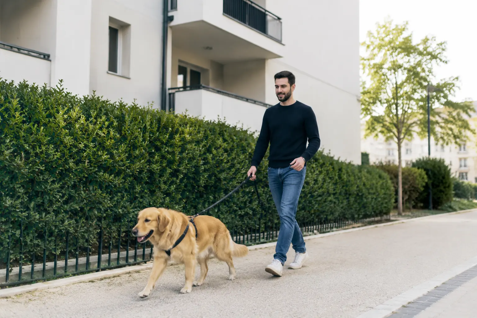 Promenade quotidienne d’un chien vivant en appartement